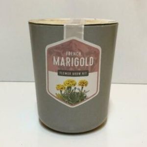 French Marigold Flower Grow Kit